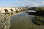 PICTURES/Cordoba - The Roman Bridge/t_Roman Bridge 2.JPG